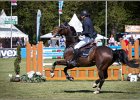 Pferd International 217